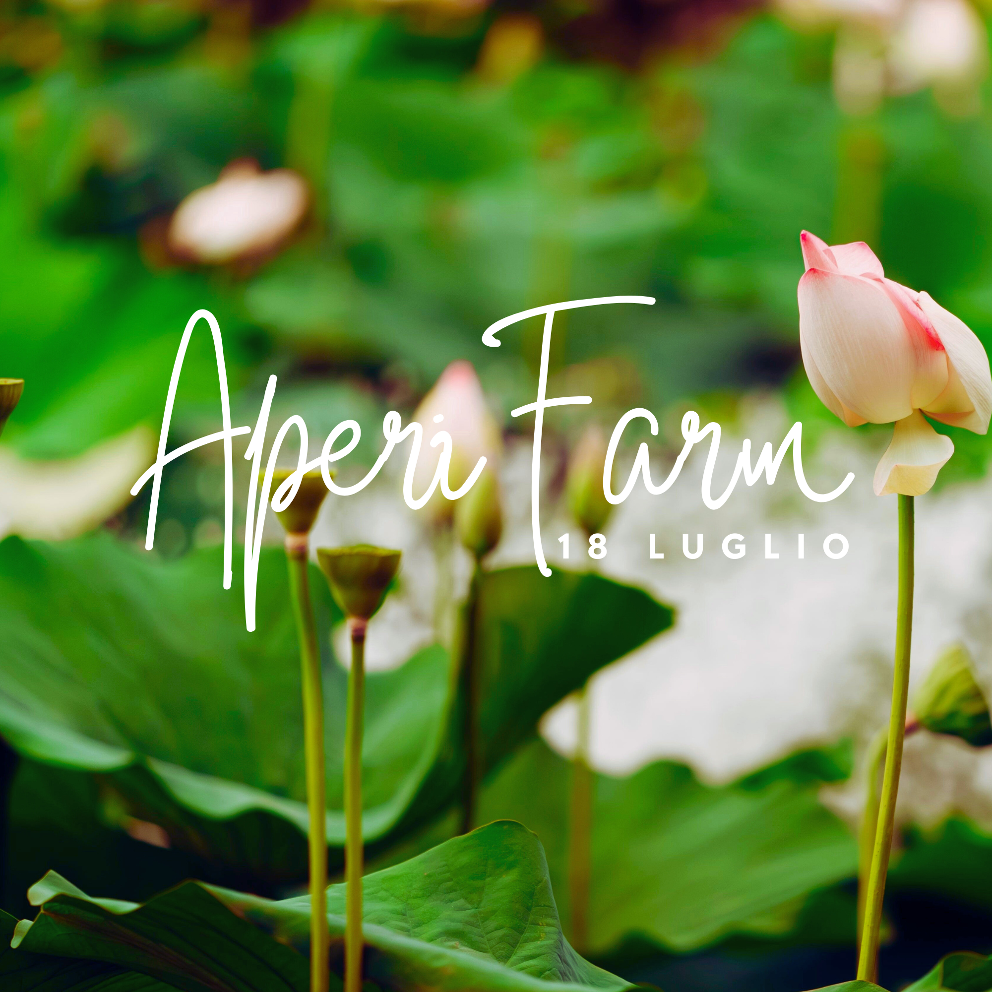 AperiFarm.zip – 3
